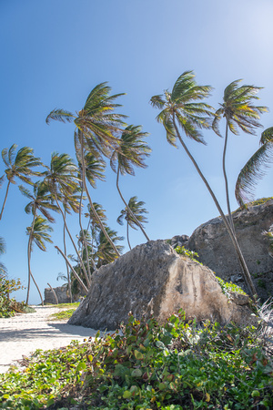2850-barbados