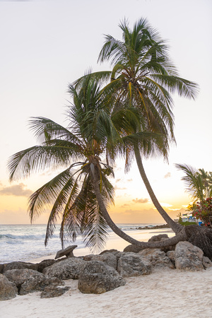 2960-barbados